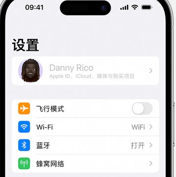 彭市镇appleID维修服务iPhone设置中Apple ID显示为灰色无法使用 