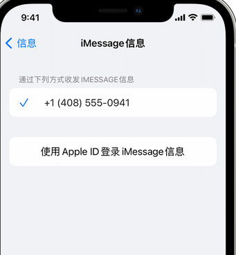 彭市镇apple维修iPhone上无法正常发送iMessage信息 