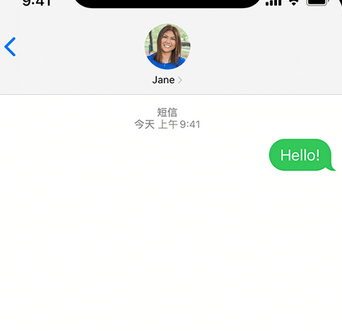 彭市镇apple维修iPhone上无法正常发送iMessage信息