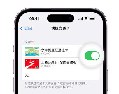 彭市镇apple维修点分享iPhone上更换Apple Pay快捷交通卡手绘卡面 