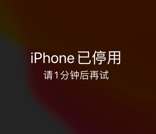 彭市镇苹果手机维修分享:iPhone 显示“不可用”或“已停用”怎么办？还能保留数据吗？ 