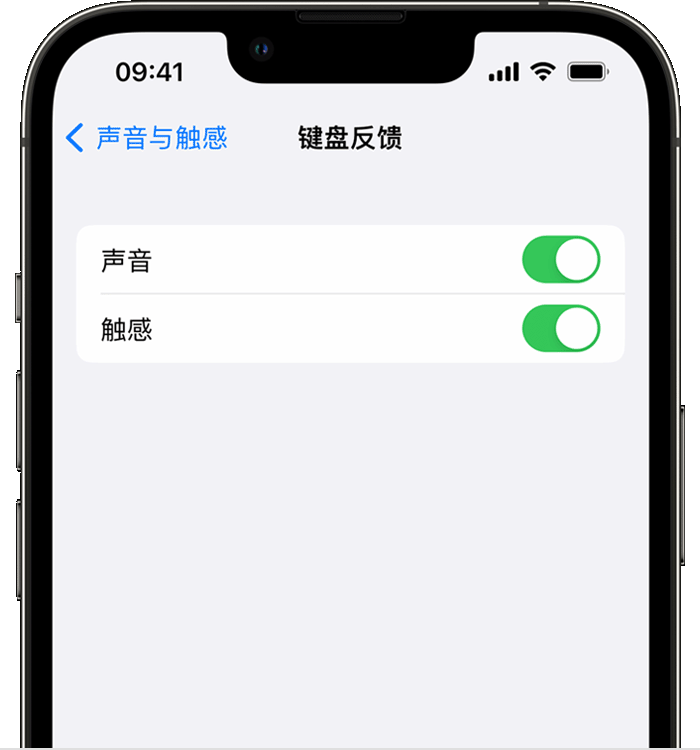 彭市镇苹果14维修店分享如何在 iPhone 14 机型中使用触感键盘 