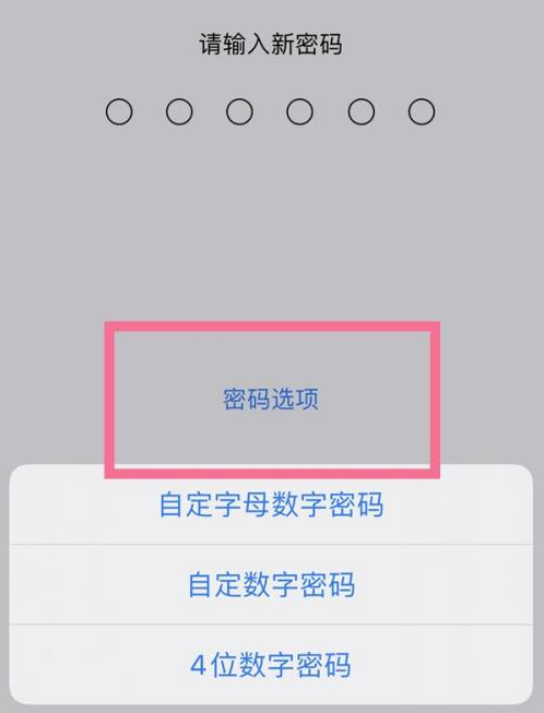 彭市镇苹果14维修分享iPhone 14plus设置密码的方法 