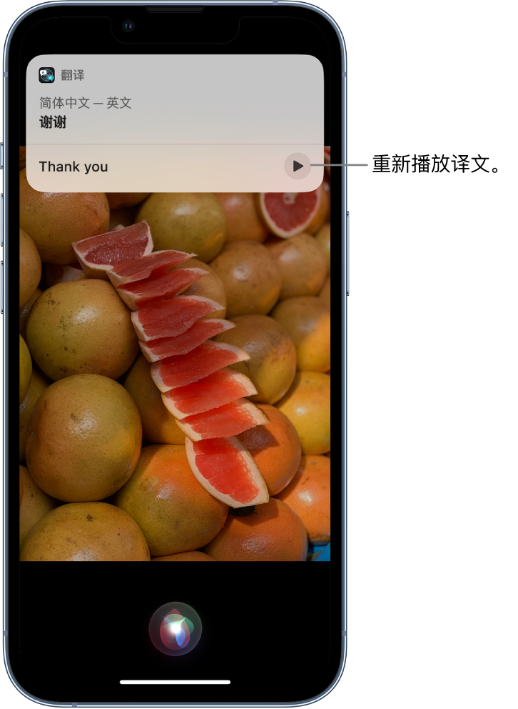 彭市镇苹果14维修分享 iPhone 14 机型中使用 Siri：了解 Siri 能帮你做什么 