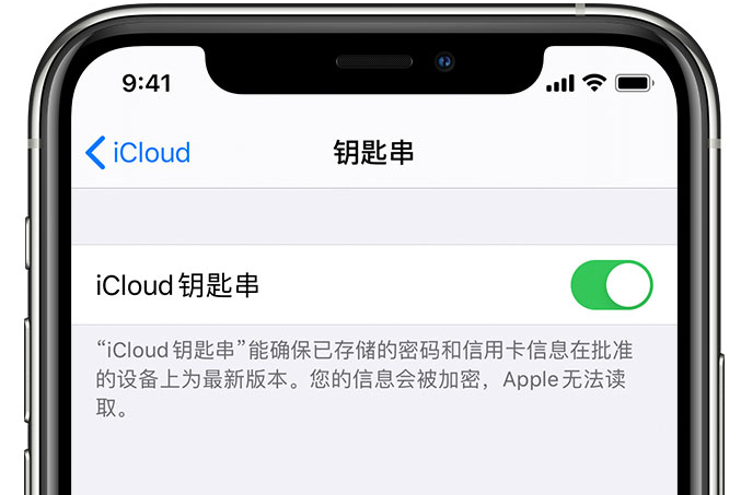 彭市镇苹果手机维修分享在 iPhone 上开启 iCloud 钥匙串之后会储存哪些信息 